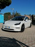 Tesla model 3 performace 2021