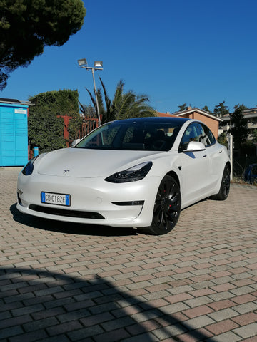 Tesla model 3 performace 2021
