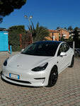 Tesla model 3 performace 2021