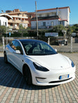 Tesla model 3 performace 2021