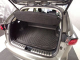 Lexus NX 300h premium 4wd